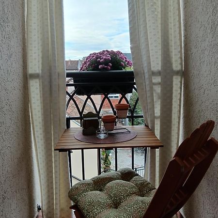 Apartman Element Krusevac Ngoại thất bức ảnh